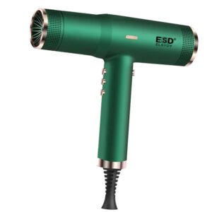 Brushless Motor Hair Dryer 9900