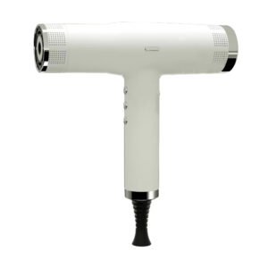 brushless hair dryer